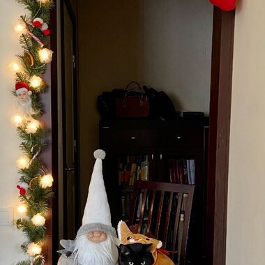 Снежана Скокова (Вильнюс)