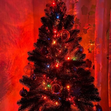 Мария Калинина (Минск)